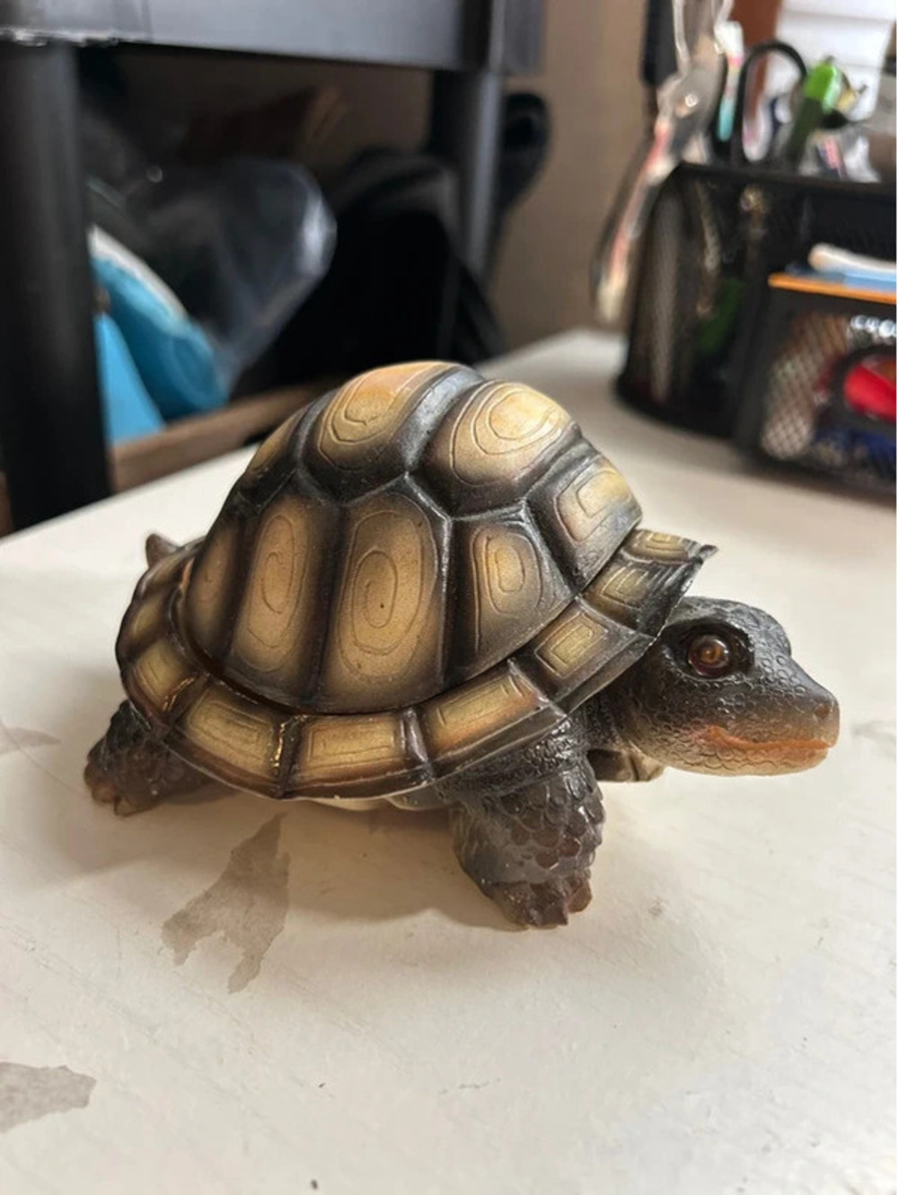 Tortoise trinket box